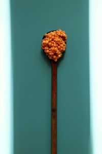 Close-up of lentils on wooden spoon