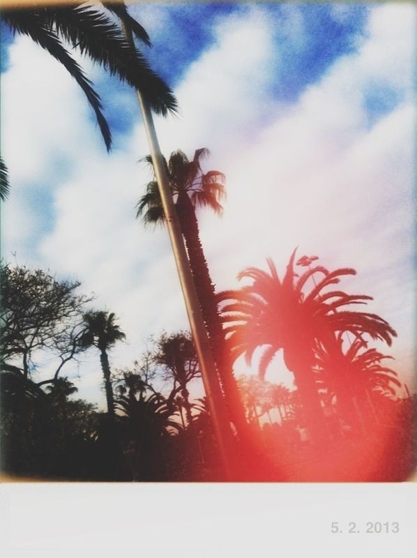 palm tree, tree, sky, cloud - sky, growth, cloud, nature, tranquility, beauty in nature, silhouette, cloudy, scenics, coconut palm tree, tranquil scene, auto post production filter, low angle view, sunset, tree trunk, outdoors, no people