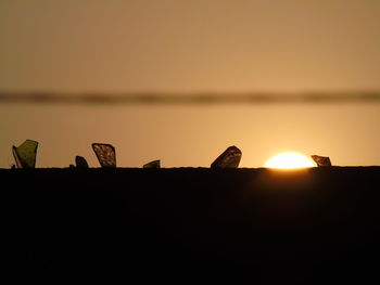 Silhouette bird perching on a sun