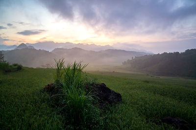 Scenic view of land against sky during sunset