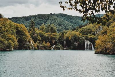 Scenic view of river amidst trees against sky