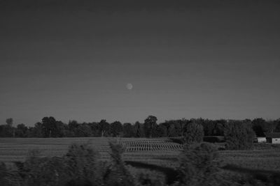 Scenic view of rural landscape