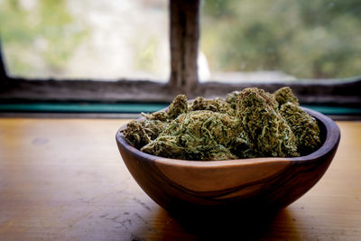 Close-up of plant in container on table