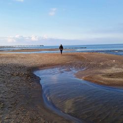 Rear view of man standing on beach against sky