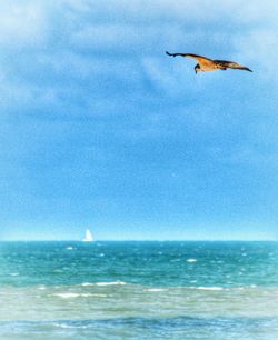 Scenic view of sea against blue sky