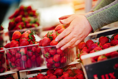 Strawberries at farmers' market