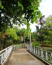 Footpath in garden