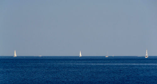 Sailboat sailing in sea against clear sky