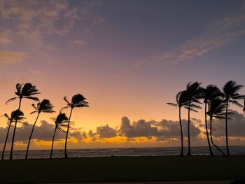 Silhouette palm trees on beach against sky during sunset