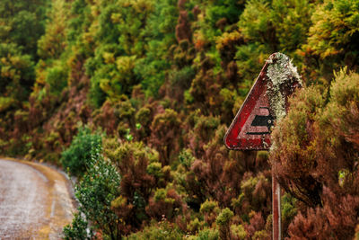 Low angle view of road sign against trees