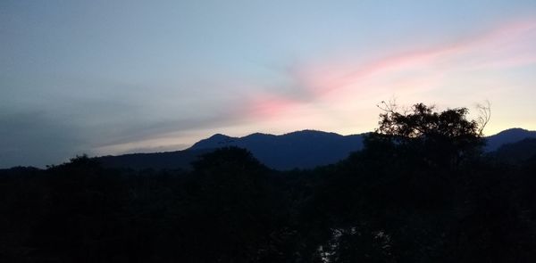Low angle view of silhouette trees against sky at sunset