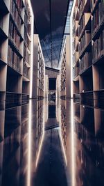 Reflection of library shelfs 