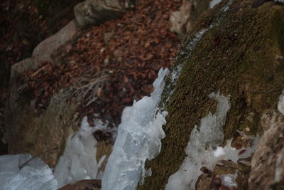 Close-up of snow on rock