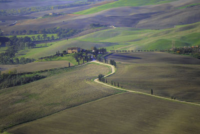 High angle view of agricultural field