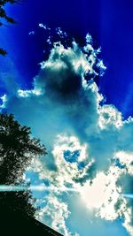 Low angle view of tree against sky