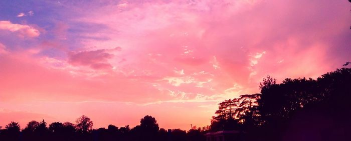 Silhouette of trees against dramatic sky