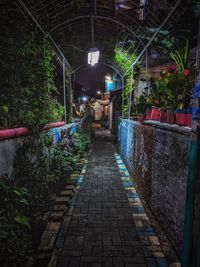 Empty alley along buildings at night