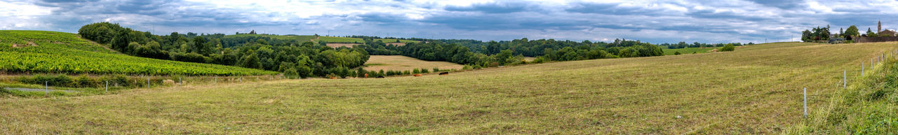 Panoramic view of agricultural field against sky