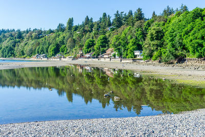 Trees and homes are reflected in a tide pool in des moines, washington.