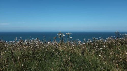 Scenic view of sea against sky