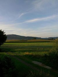 Scenic view of grassy field against cloudy sky