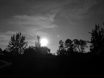 Silhouette trees against sky during sunset