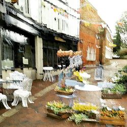 Potted plants on building