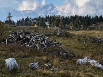 Scenic view of field against sky