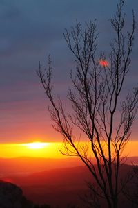 Silhouette bare tree against dramatic sky during sunset