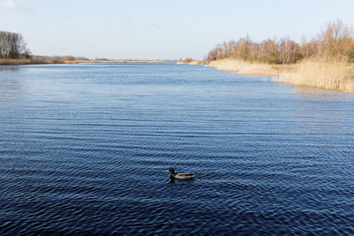 Scenic view of calm sea