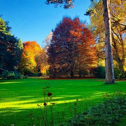 Scenic view of lake in forest during autumn