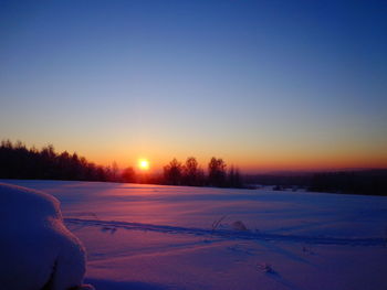 Frozen bare trees against sky during sunset