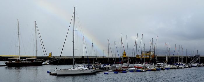 Sailboats in marina