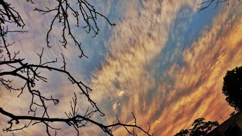 Low angle view of silhouette bare tree against sky