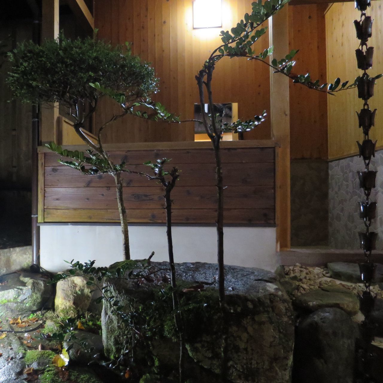 POTTED PLANT OUTSIDE HOUSE IN BUILDING