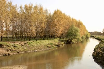 Scenic view of lake against clear sky