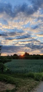 Scenic view of field against sky at sunset