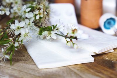 Close-up of white flowers on table