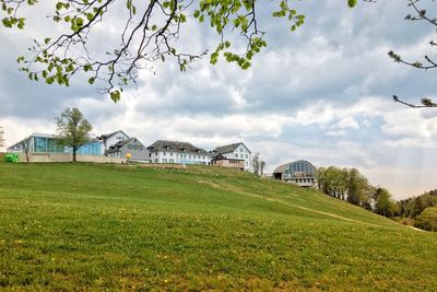 Plants and houses on field against sky