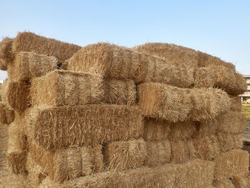 Hay bales on field against clear sky