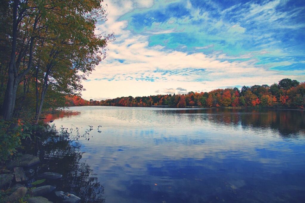 tree, water, sky, tranquil scene, tranquility, scenics, lake, reflection, beauty in nature, cloud - sky, nature, cloud, waterfront, idyllic, autumn, river, non-urban scene, outdoors, calm, change