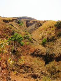 Scenic view of landscape against clear sky