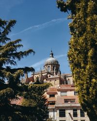 Low angle view of trees and buildings against sky