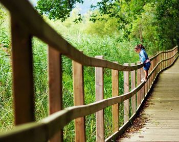 Rear view of child walking on footbridge