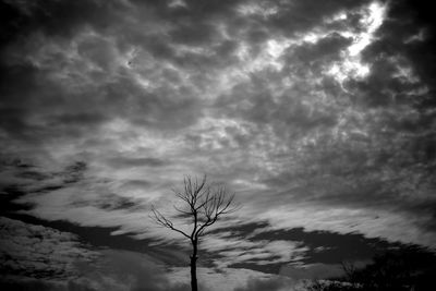 Low angle view of bare tree against dramatic sky