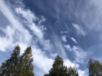 Low angle view of trees against sky