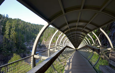 Futuristic walkway along a wild river