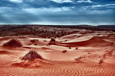 Scenic view of desert against sky