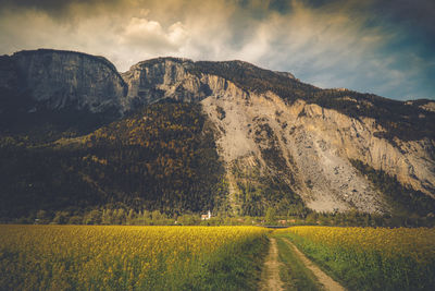 Scenic view of field against sky