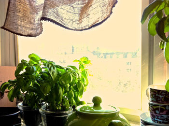 Close-up of vegetables on table at home